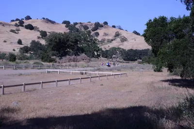 DSC_2057 (Large).JPG